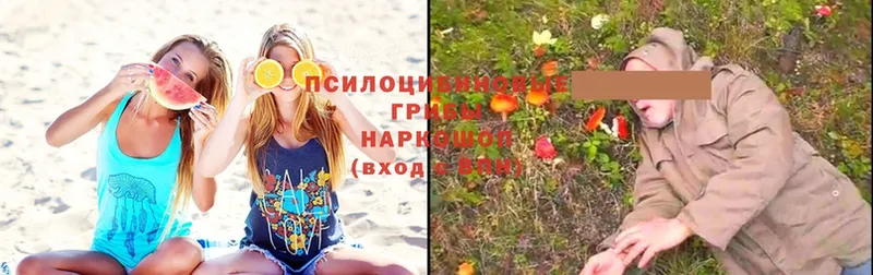 площадка официальный сайт  Кропоткин  Галлюциногенные грибы Magic Shrooms  купить  цена 